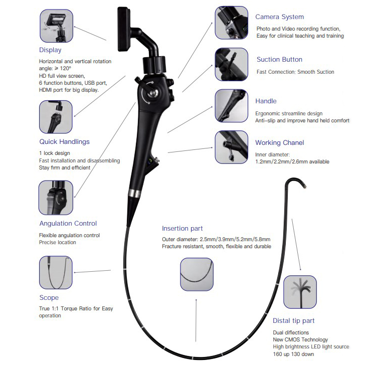 Flexible EndoScope for Veterinary VL3S-V - Image 3